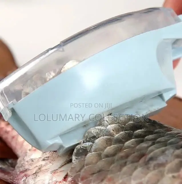 Fish Scale Scrapper / Fish Scrapper