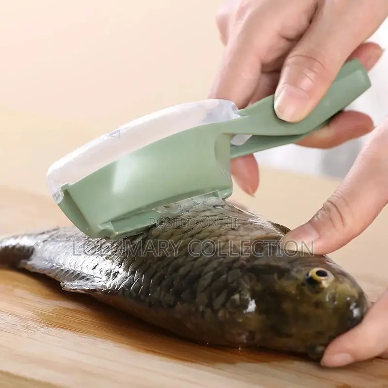 Fish Scale Scrapper / Fish Scrapper