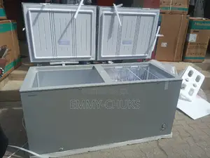 Fast 600l Hisense Double Freezer