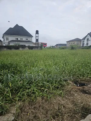 Non Waterfront Residential Land in Banana Island Ikoyi