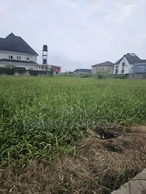 Waterfront Residential Land at 3rd Avenue Banana Island