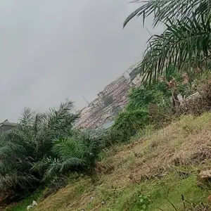 1 Hectares of Residential Land for Sale at GRA Ikeja