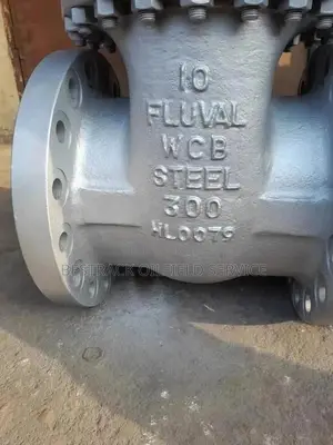 10" X 300# RF WCB Bonnet Gate Valve