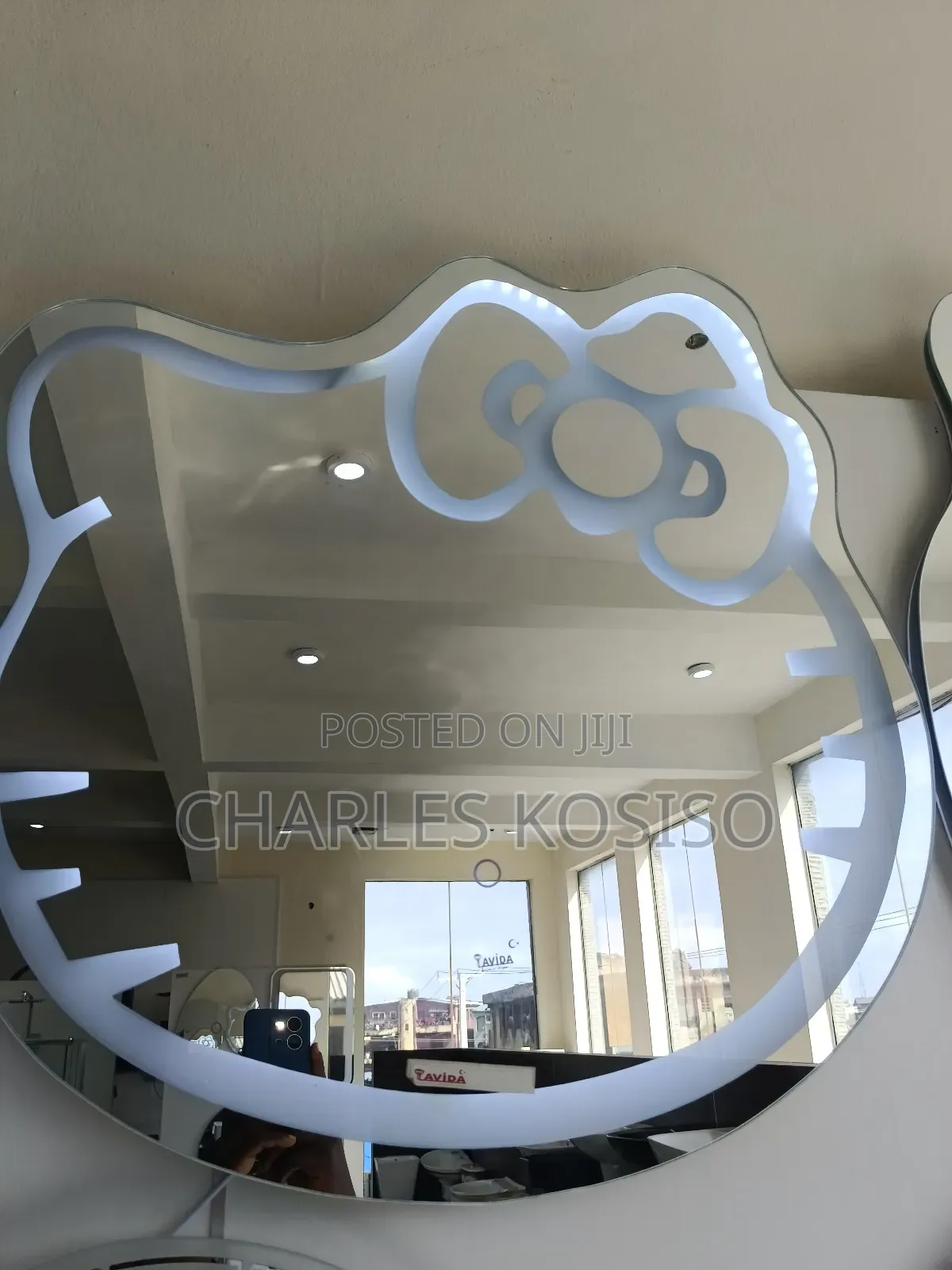 Led Mirror With Kitten Face Shape
