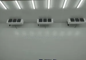 How Much Is a 60 Tons Cold Room in Nigeria Today?