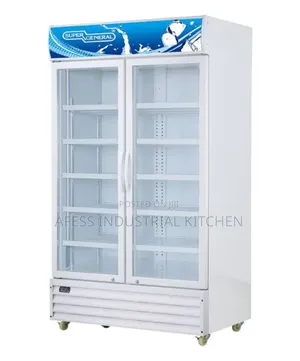 Double Door Chiller