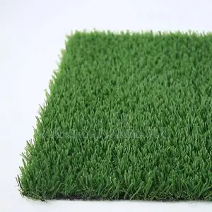 School Artificial Grass