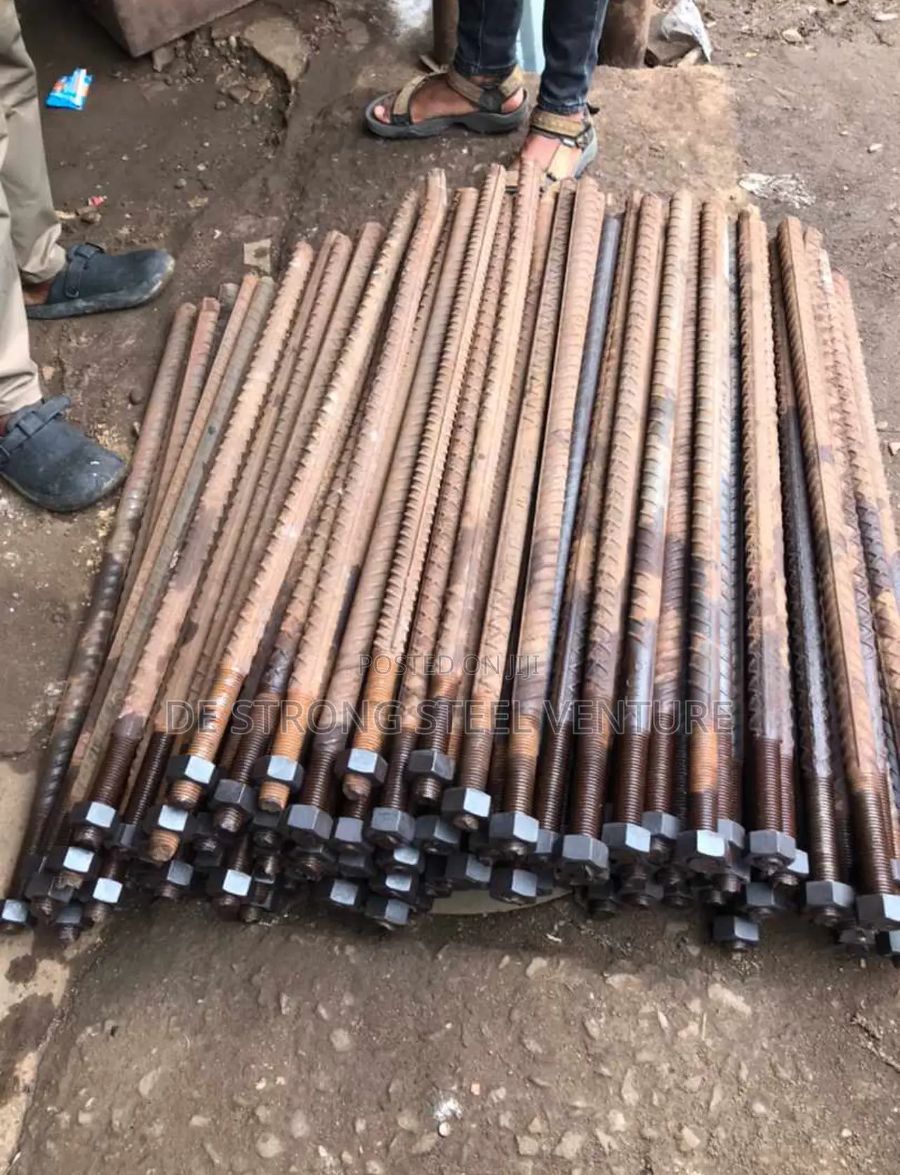 Foundation Bolt