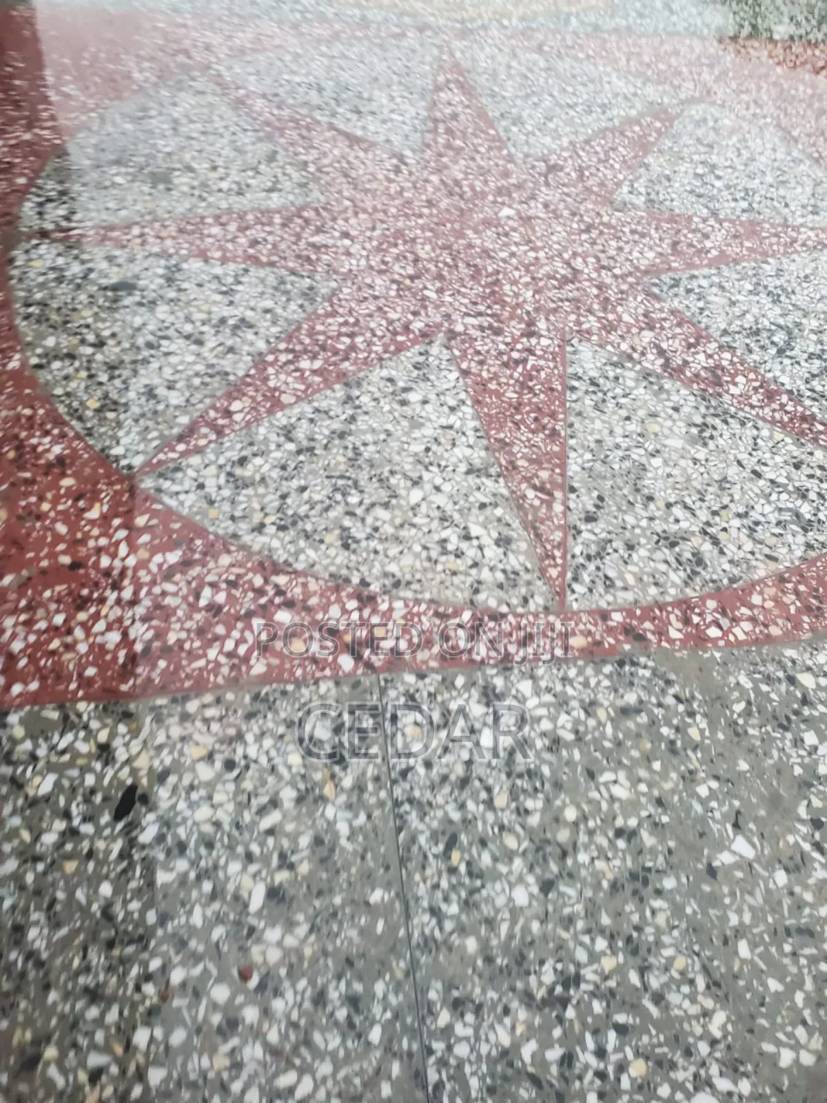 Tarrazzo Flooring