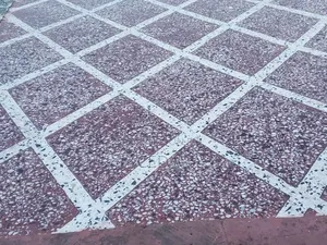 Tarrazzo Flooring