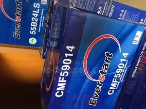 Original Quality 90ahs Korea Battery