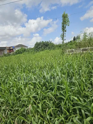 Waterfront Residential Land at Banana Island Ikoyi Lagos