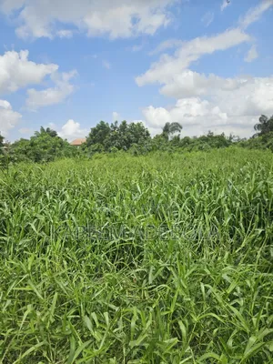 Available Land at 223 Close Banana Island Ikoyi Lagos