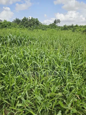 Residential Land at 223 Close Banana Island