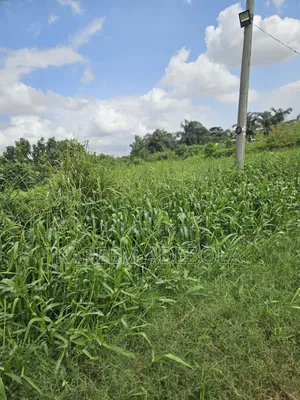 Residential Land at 223 Close Banana Island Lagos