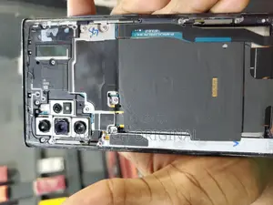 Samsung Note 10 Plus Panel