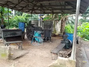 Palm Oil Processing Mill for Sale. Palmfruits Crusher E.Tc.