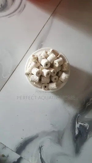 Ceramic Ring