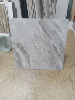 Floor Tiles Use for Room