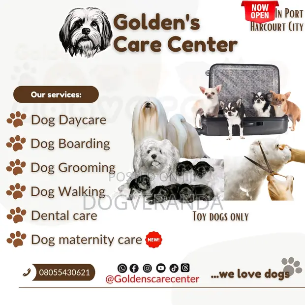 Dog Grooming Dog Daycare Boarding Pet Boarding Animal Haircut Near
