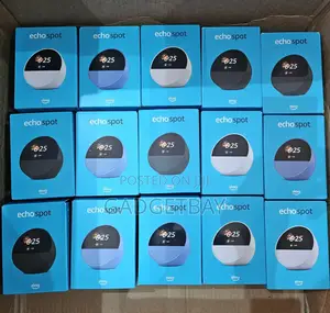 2024 Amazon Echo Spot