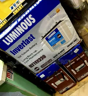 220a Luminous Tubular Battery