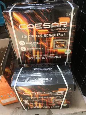 Caesar 220a Tall Tubular Battery