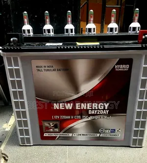 New Energy 220a Tall Tubular Battery