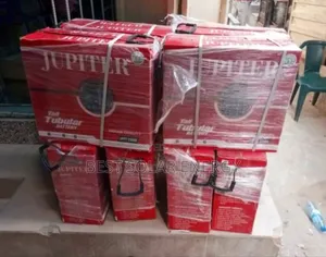 220a Tall Jupiter Tubular Battery