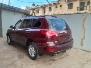 Hyundai Santa Fe 2.7 V6 2007 Brown