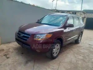 Hyundai Santa Fe 2.7 V6 2007 Brown