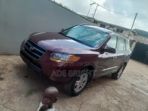 Hyundai Santa Fe 2.7 V6 2007 Brown