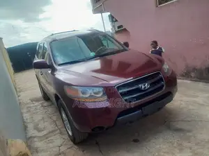 Hyundai Santa Fe 2.7 V6 2007 Brown