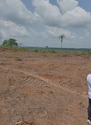 Affordable C of O Land at Emene Enugu