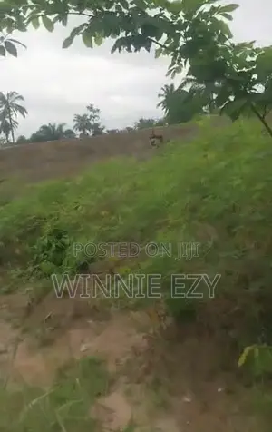 Affordable Land at Oba