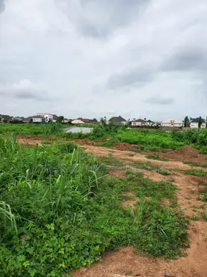 1 Plot at Ichi Nnewi for Sale