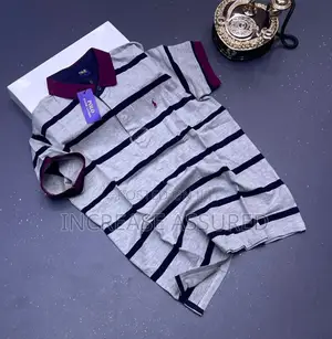 Luxury Polo Raph Collar Neck T Shirt