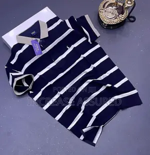 Luxury Polo Raph Collar Neck T Shirt