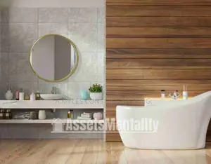 Bathroom Mirror Guza