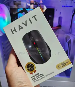 Havit Wireless Mouse