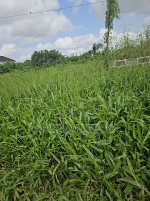 Commercial Land at Hampton Island Estate Close to Pinnock