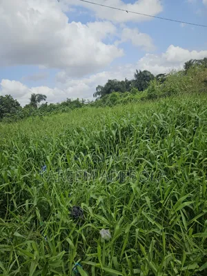 Corner Piece of Land at Glover Road Old Ikoyi