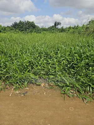 Commercial Land at Ikoyi Tower Road Off Second Avenue Ikoyi