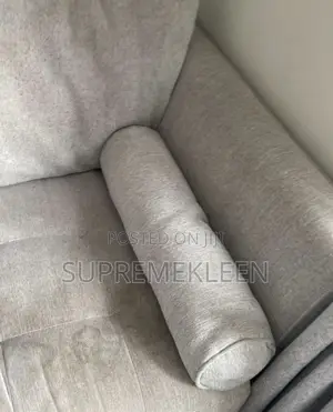 Professional Upholstery Cleaning Service