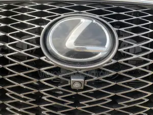 Lexus RX 2021 Gray