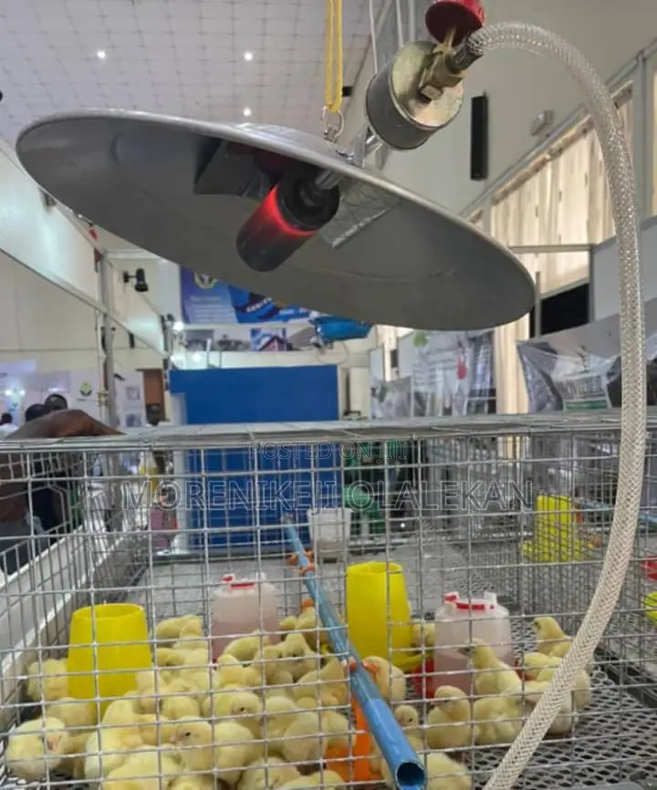 India Gas Brooder 1000birds Capacity