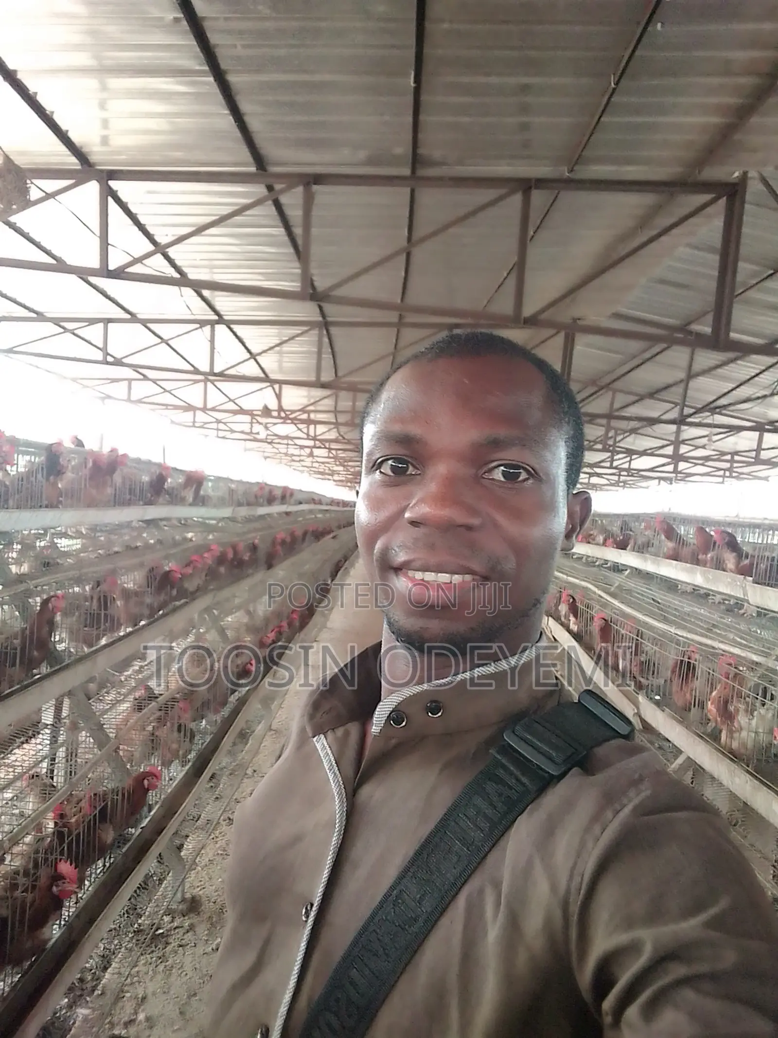 Registered Animal Scientist/Consultant