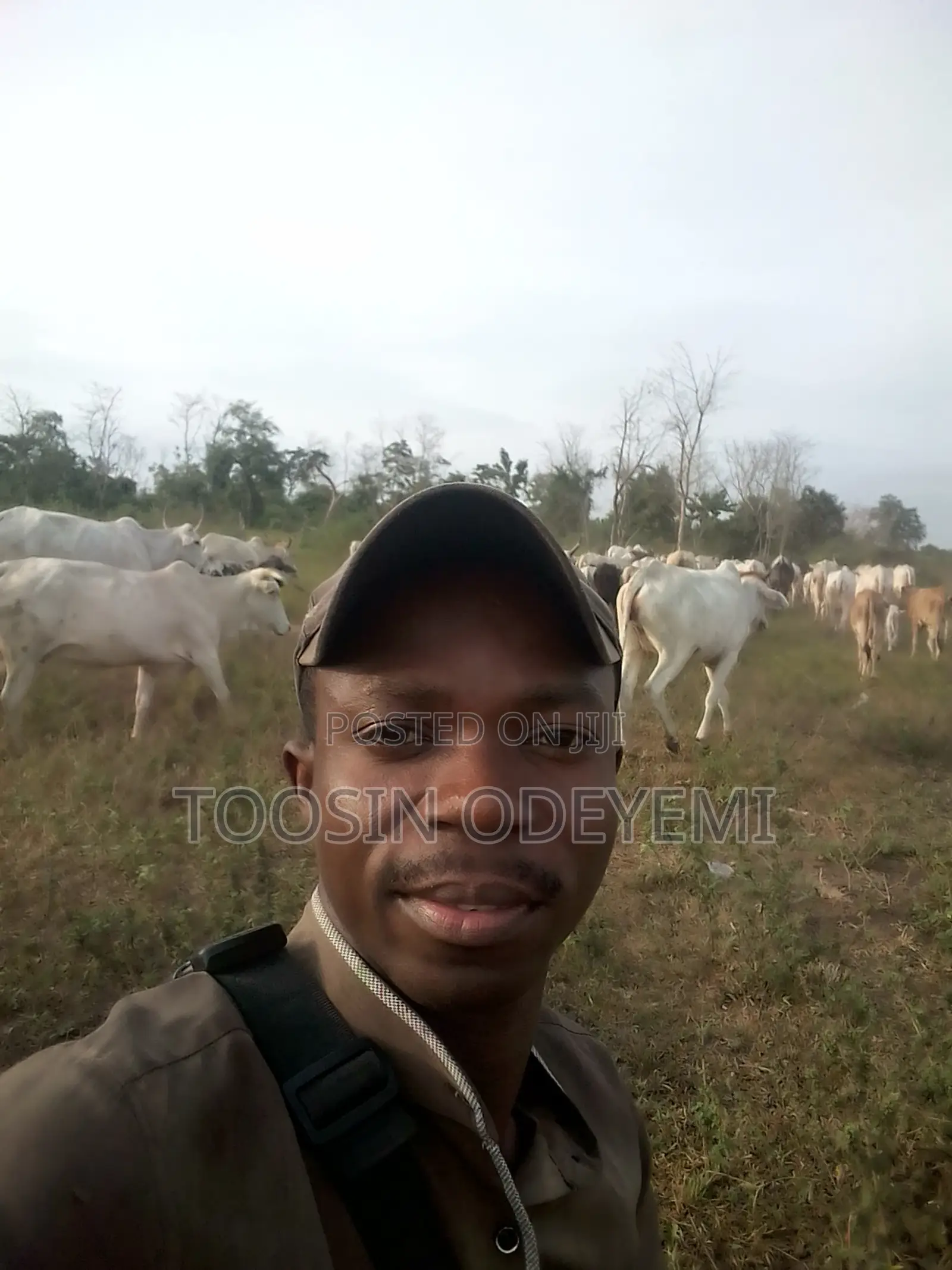 Registered Animal Scientist/Consultant