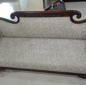 Professional in Sofa Upholstery Cleanup