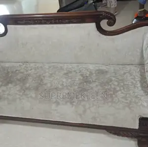 Professional in Sofa Upholstery Cleanup